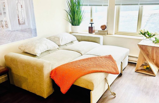 Stylish enjoyable one-bedroom in Seattle U-District close to Light Rail