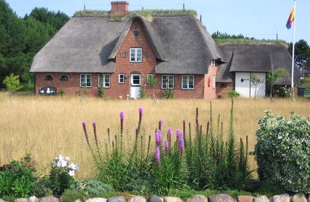 Seestern Comfortable holiday residence