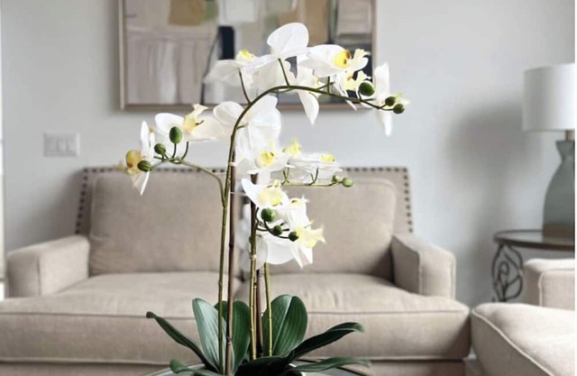 Beautiful bedroom 02 with a private bathroom featuring a tub and shower.