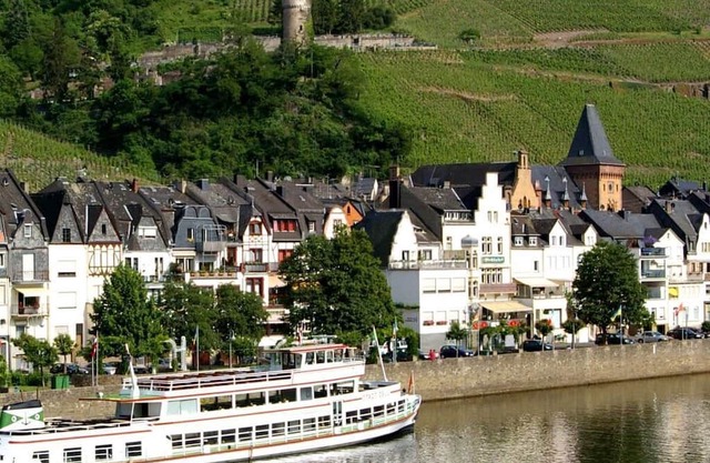 Villa Burglay Zell Mosel