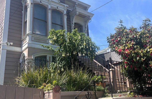 Thoroughly Modern Victorian Guest Suite on historic Mission District street.