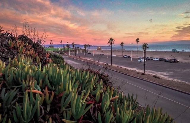 1 min walk to the beach! Family friendly w/ large patio in Playa Del Rey.