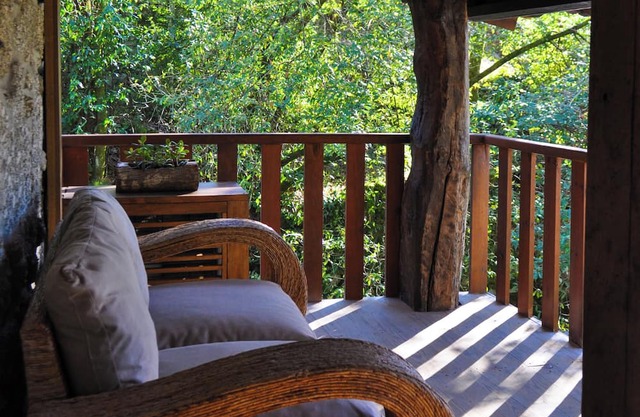 Um Pequeno Paraíso Junto ao Rio, Rodeado Apenas Pelos Sons da Natureza