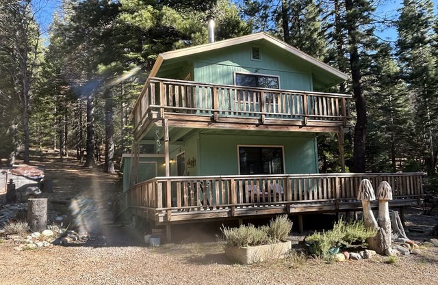 Cozy one bedroom home in the woods 5 miles from the town of Mount Shasta.