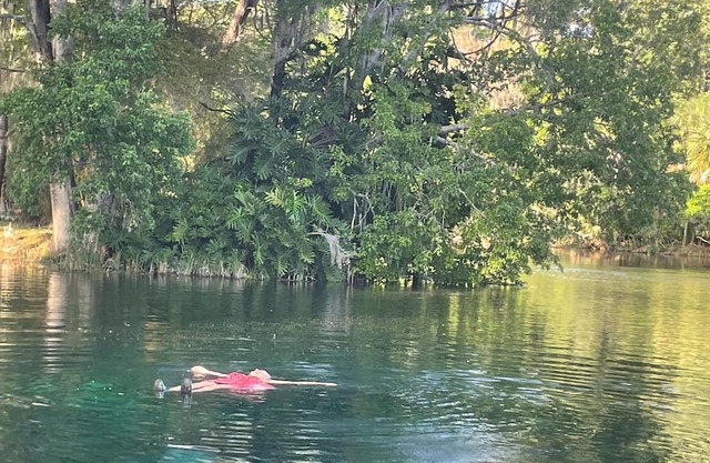 Perfect Kayakers Spot n