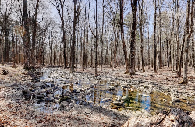 Cozy and quiet 1850's Saxton Creek Farmhouse close to Saugerties, Woodstock