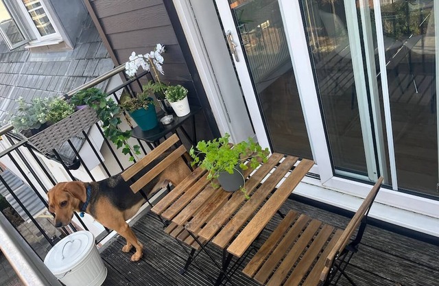 Bright apartment, 40m to London