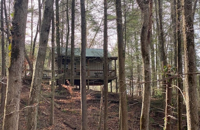 Back of Beyond.... A secluded cabin between the Hiwassee and Ocoee Rivers