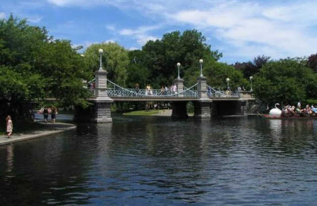 Beautiful Executive Apartment 4