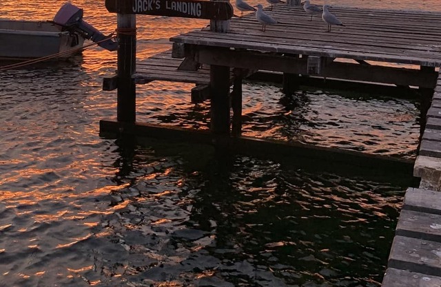 Robbo's Snag Island Retreat