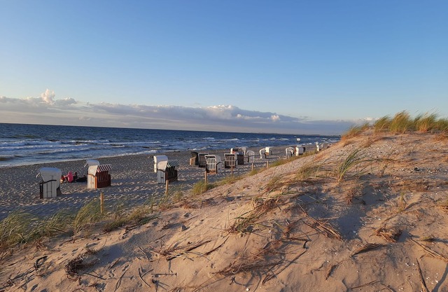 Eikkater 4, Deutschland