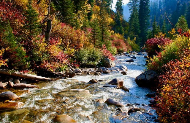 River View Retreat on Payette River