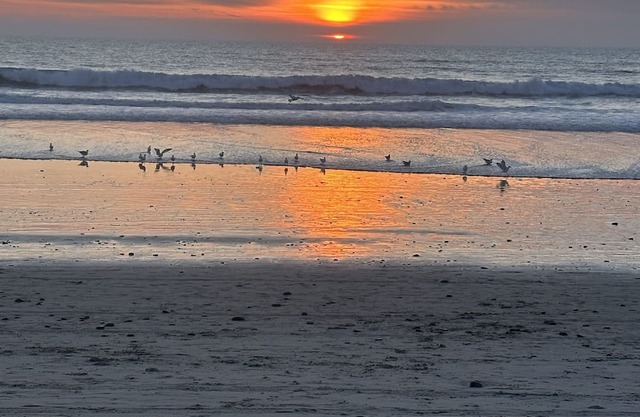 Carlsbad Beach Cottage
