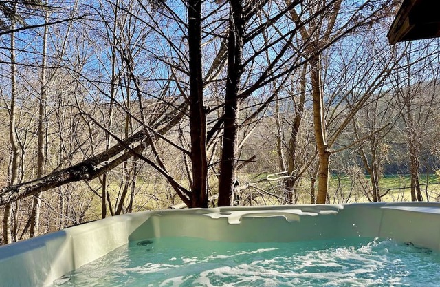 Great Smoky Mountain's Hidden Woodland Oasis