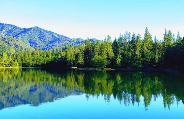Castle of Lake Shasta - Direct Lake Elegance