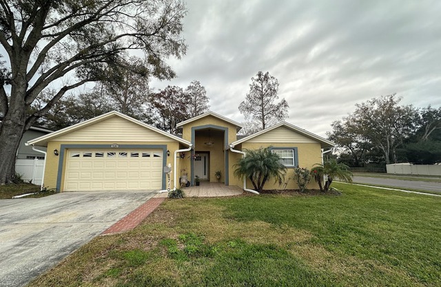 Comfortable home in Tampa with Saltwater Pool