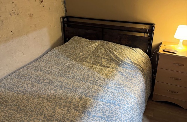 Cozy 1BR apartment near VIA RAIL London