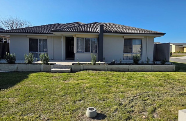 Modern Bassendean Abode