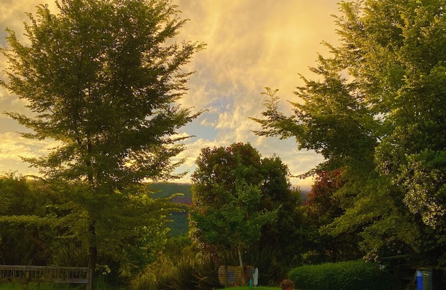 Perfect getaway relax with nature