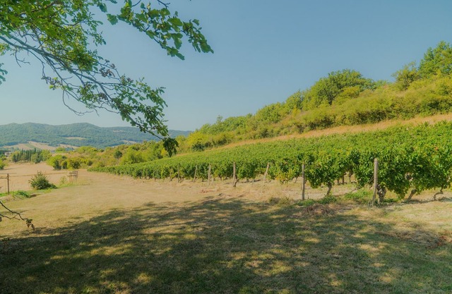 Le saule - les gîtes du bruchet
