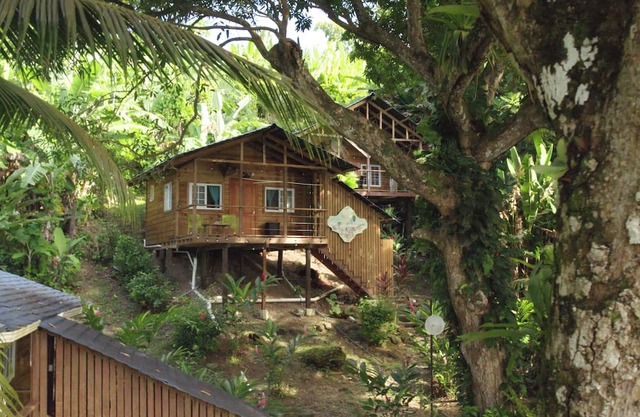 SEA GLASS HOUSE: Waterfront, Caribbean Island Jungle Cabin in Bastimentos w/AC