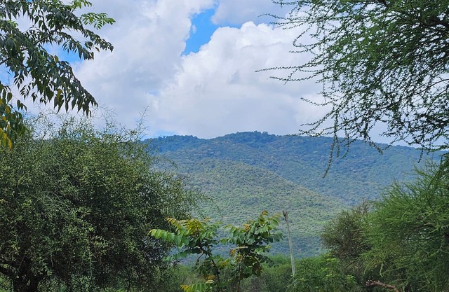 Charming Cottage in Namanga with gorgeous views & birdlife.Pet friendly!