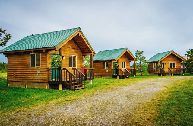 Cozy Mini-Cabin Surrounded by Nature's Beauty!