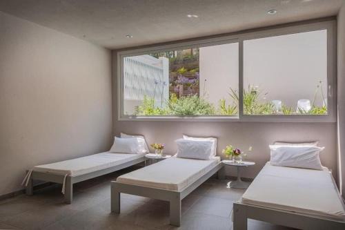 Vizion Suites Carilo