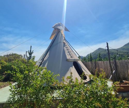 Teepees Tsitsikamma Wolf Sanctuary