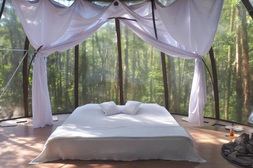 Cúpula suspensa na mata atlântica!