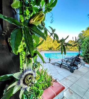 L'or et des Landes MAISON AVEC PISCINE ET VUE