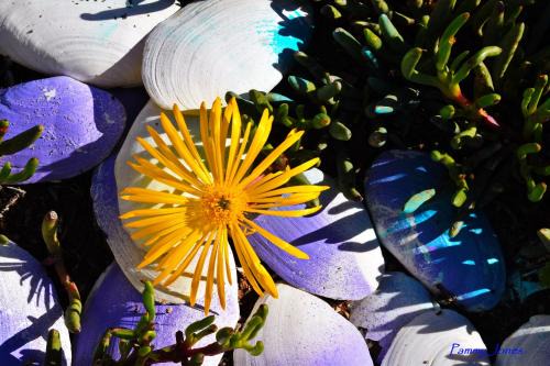 Golden Mile Beach B&B, St Helena Bay