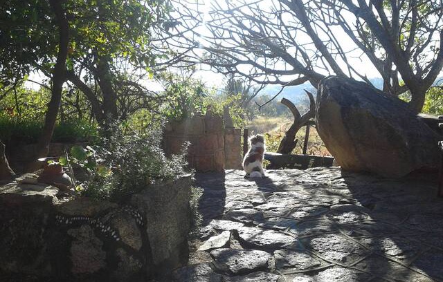 Bulawayo House | Single Room in an alternative setting