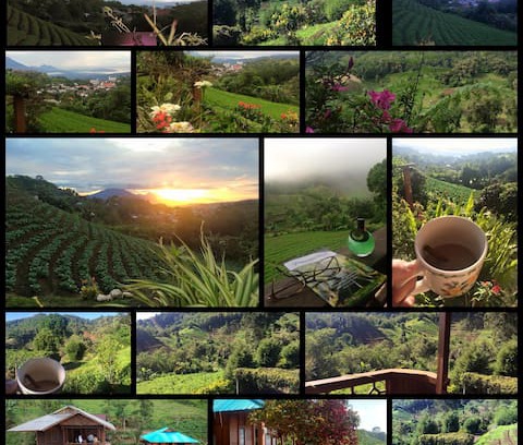 Tomohon Cabin | Bloomie Homestay - Rurukan Tomohon North Sulawesi