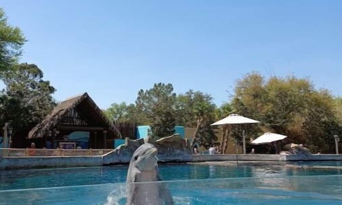 North San Antonio - SAT House | Uptown Alamo City Retreat-Near Airport & Downtown!