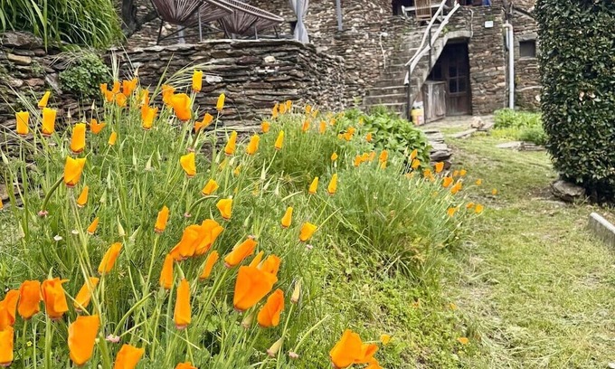Ventalon-en-Cevennes House | Les Hôtes du Châtaignier