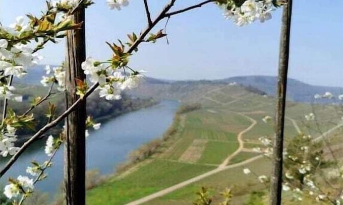 Zell Boat Rental | Kaliva Comfortable holiday residence