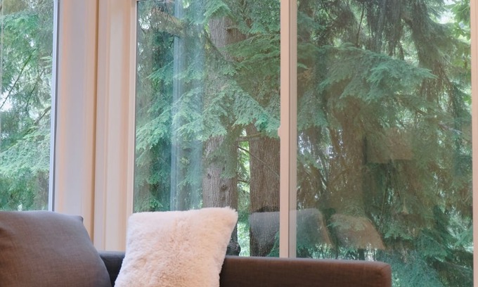 Mercer Island Apartment | Entire 1b1b Mercer Island apartment