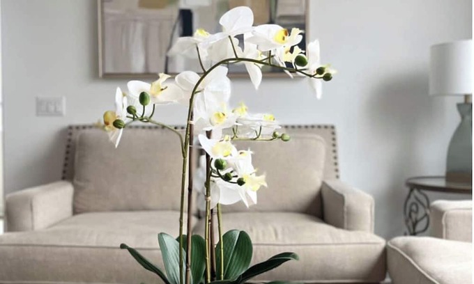 Upland House | Beautiful bedroom 02 with a private bathroom featuring a tub and shower.