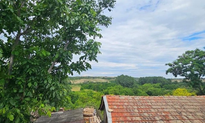 Vardar Region Apartment | Double Room - Arаbeska Family Winery & Apartments