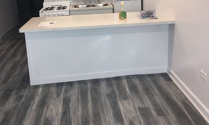 Chicago Lawn House | Newly renovated 2 bedroom Garden apartment, Living room, bath,and full kitchen.