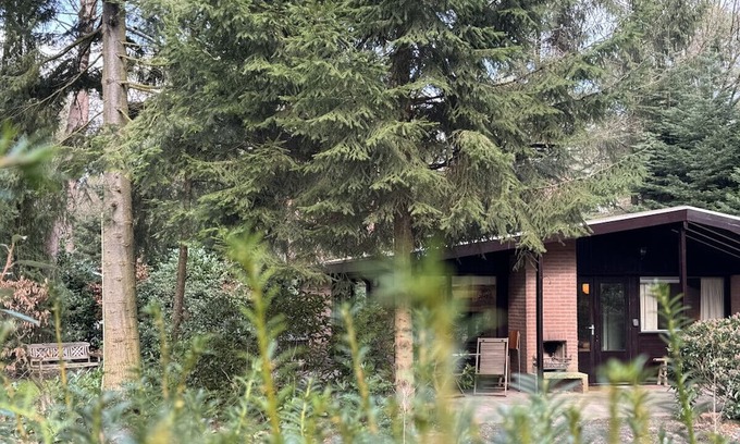 Giethmen House | Boshuisje met Open Haard