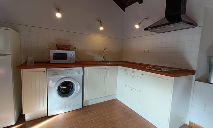Pola de Lena Apartment | "small" House of La Reguera