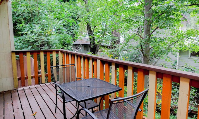 Crestline Apartment | Grey Squirrel in Crestline Mountains