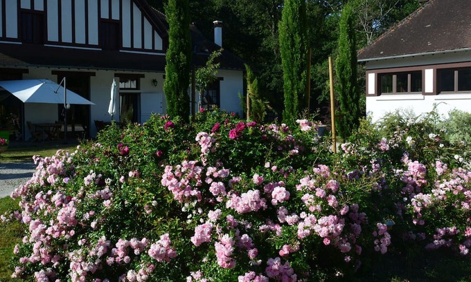 Ligny-le-Ribault Bed & Breakfast | Guestroom Ligny-le-Ribault, studio flat, 2 persons