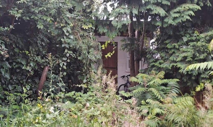 Hendon Cabin | Picturesque City Cabin modern Professional Market, near busses, tube and shops