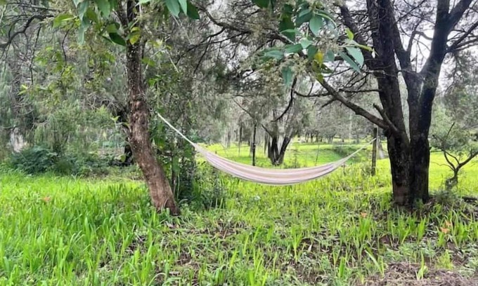 Huasca De Ocampo Cabin | Romantic Night with in the Woods By GEstores