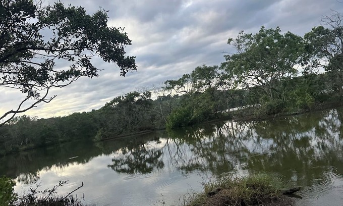 Cerro Plano Villa | Sunset views with Macaws in the jungle in beautiful Bajamar