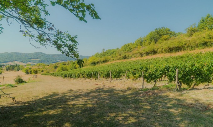 Mirabel-et-Blacons House | Le saule - les gîtes du bruchet