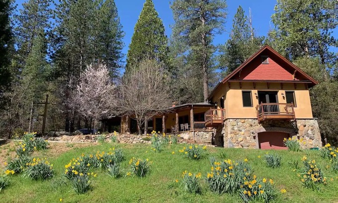 Nevada City Cabin | Designer's Spacious Nature Retreat Close To Town with AC, & WiFi in Nevada City